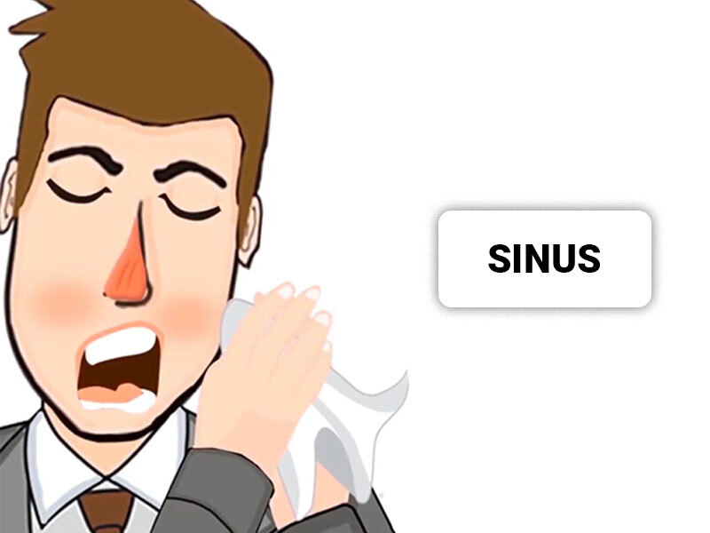 Sinus Whiteboard Animation